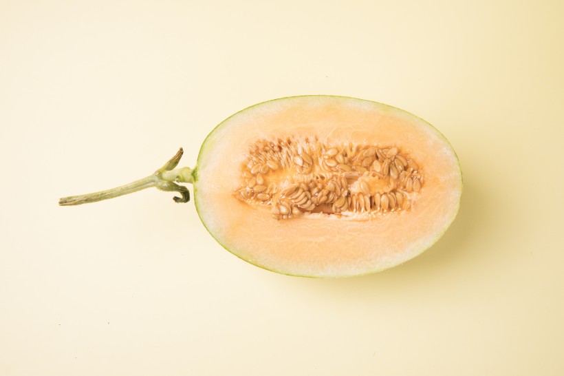 脆甜好吃的哈密瓜图片(10张)