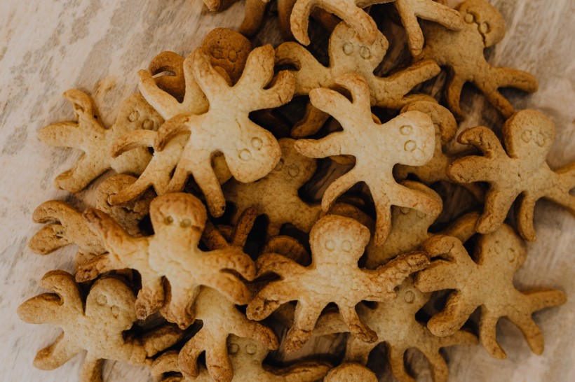 好吃又好看的章鱼饼干图片(10张)