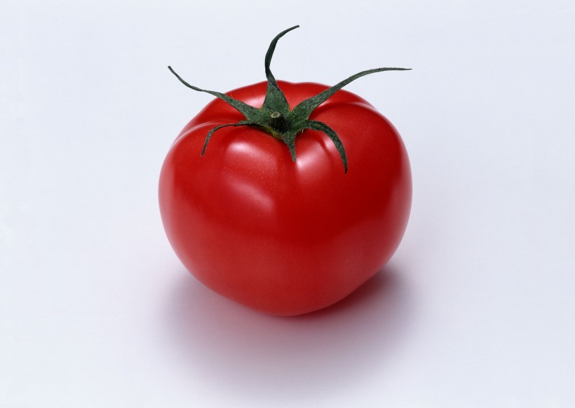 红红的西红柿图片(15张)