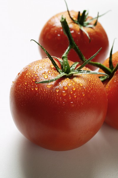 红红的西红柿图片(15张)