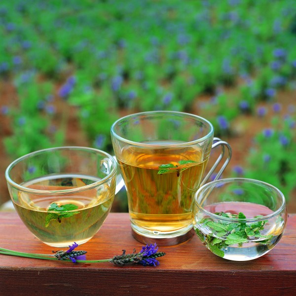 保健茶花草茶图片(15张)