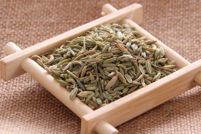 味道特殊的调料茴香图片(10张)