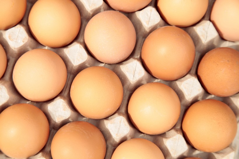 鸡蛋和打蛋器图片(31张)