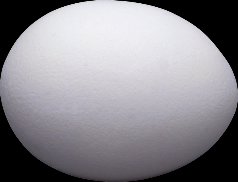 蛋类透明背景PNG图片(15张)