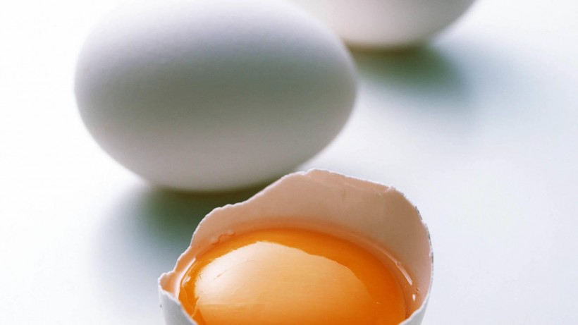 鸡蛋牛奶图片(10张)