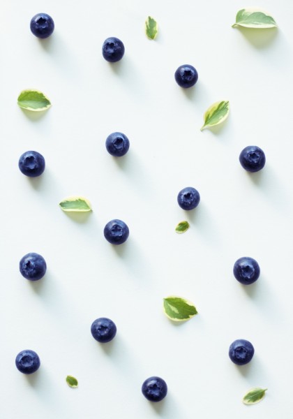 精选蓝莓图片(12张)