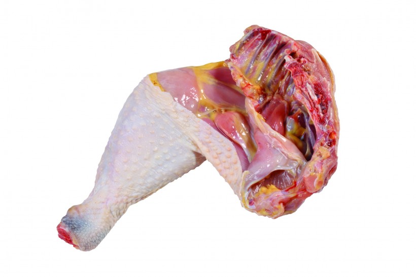 鸡腿肉图片(7张)