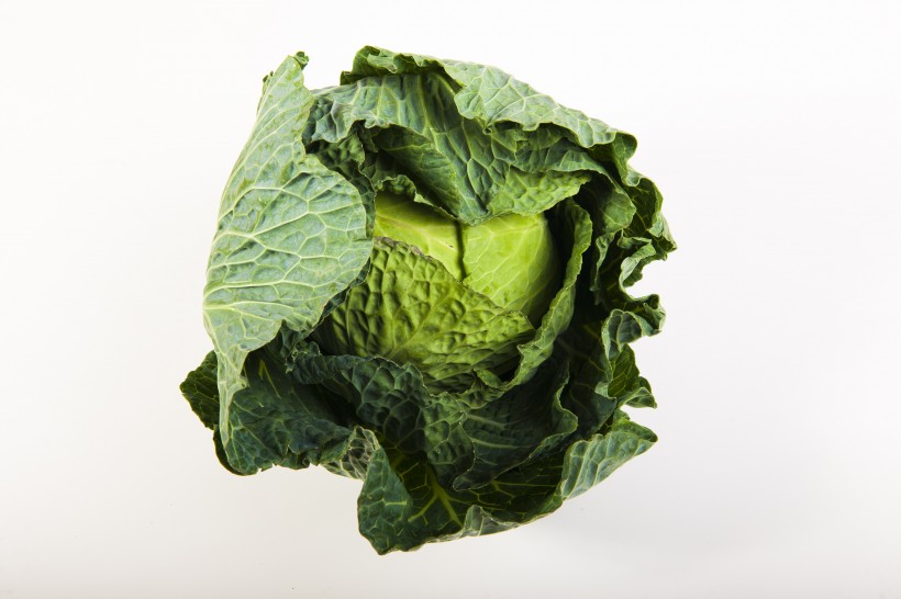 绿色健康的圆白菜图片(22张)