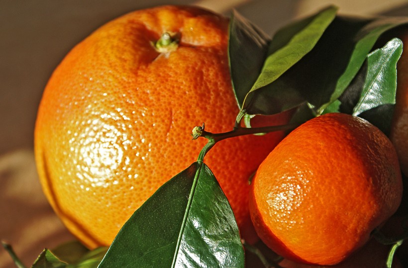 剥开的橘子图片(15张)