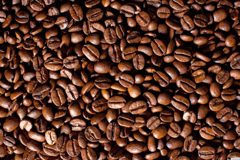 小巧可爱的咖啡豆图片(15张)