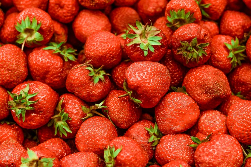清新可口的草莓图片(13张)