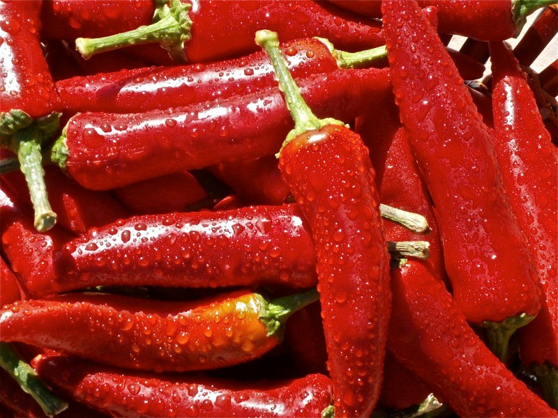鲜红的辣椒图片(23张)