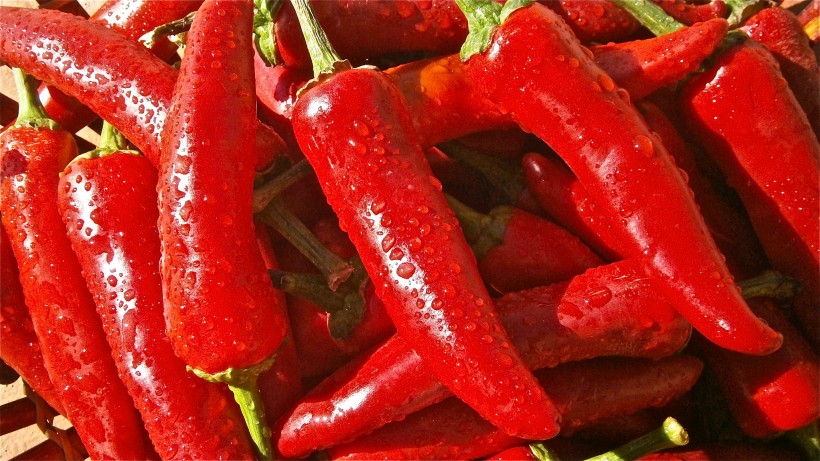 鲜红的辣椒图片(23张)