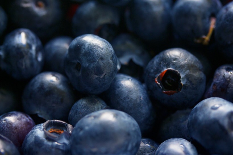 清香可口的蓝莓图片(10张)