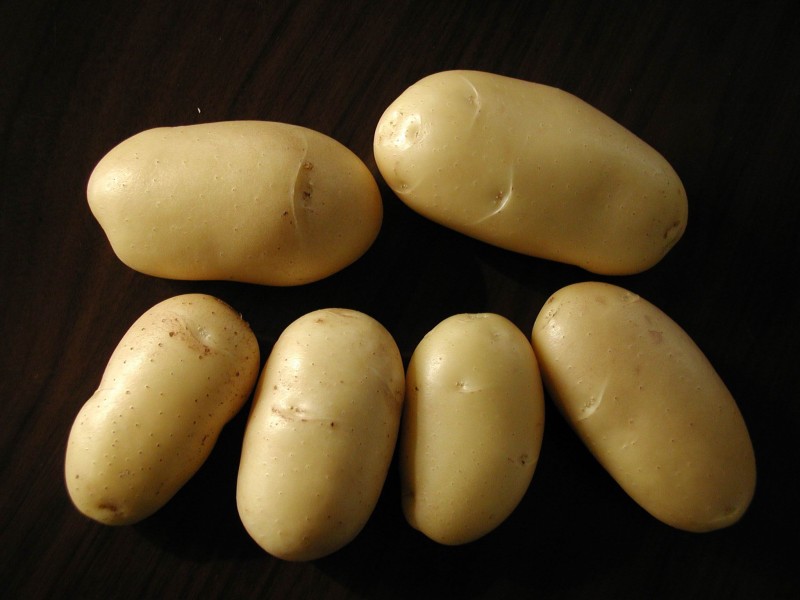 马铃薯特写图片(8张)