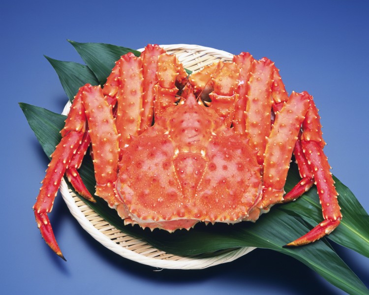 美味的大螃蟹图片(17张)