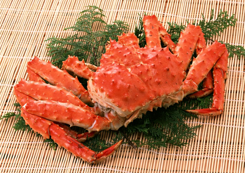 美味的大螃蟹图片(17张)