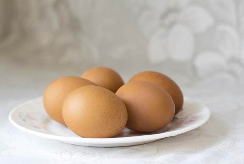 新鲜的鸡蛋图片(14张)