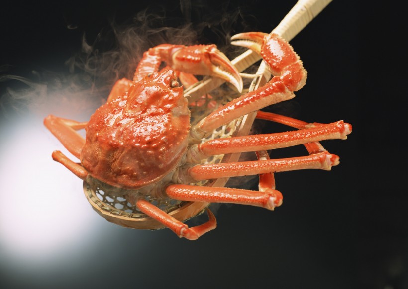 美味螃蟹图片(8张)