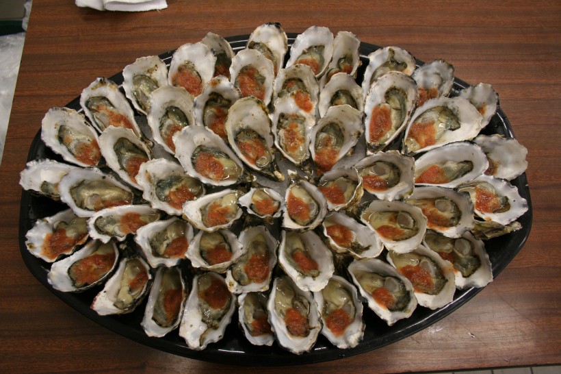 牡蛎生蚝图片(30张)