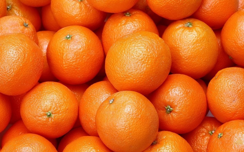 酸甜可口的橘子图片(16张)