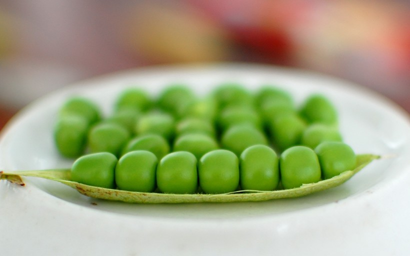 翠绿的豌豆图片(14张)