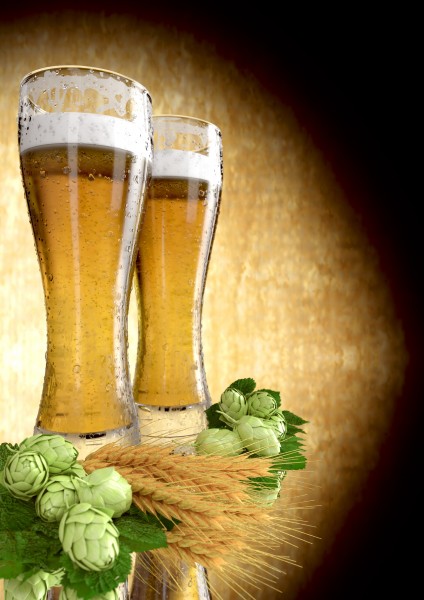 清爽的啤酒饮料图片(15张)