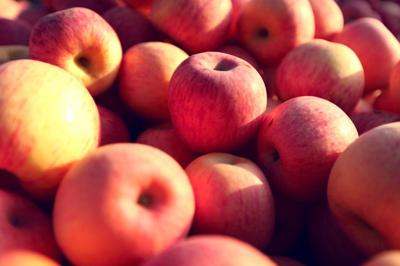 色彩鲜艳的苹果图片(15张)