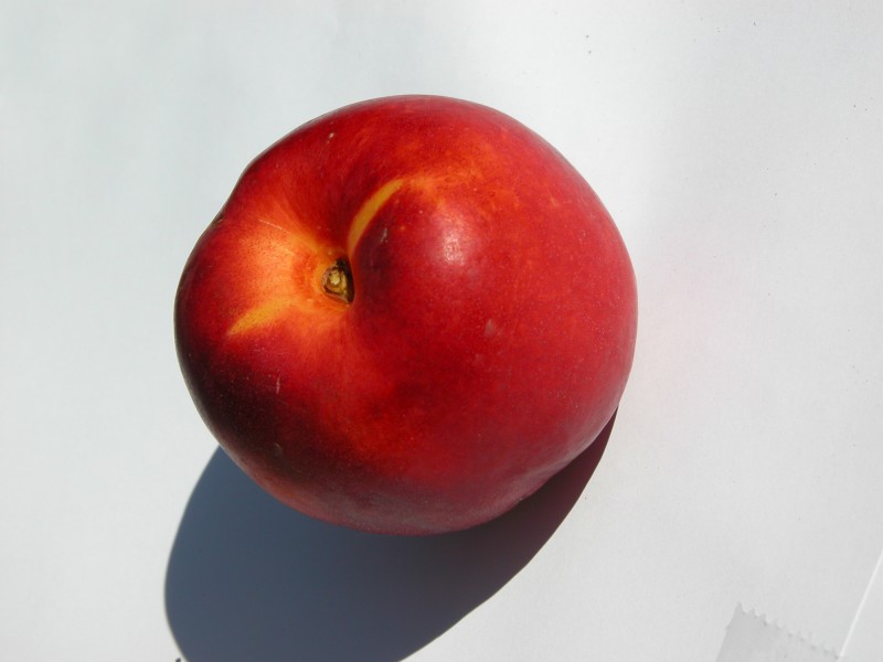 色彩鲜艳的苹果图片(15张)