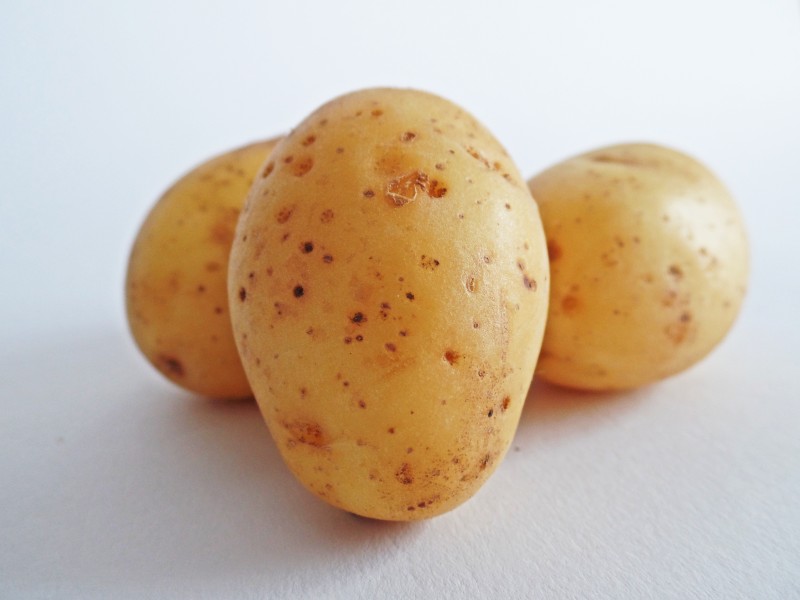 新鲜的土豆图片(13张)