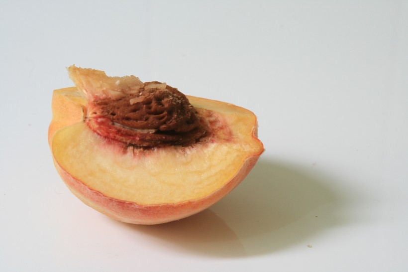 新鲜好吃的水蜜桃图片(22张)