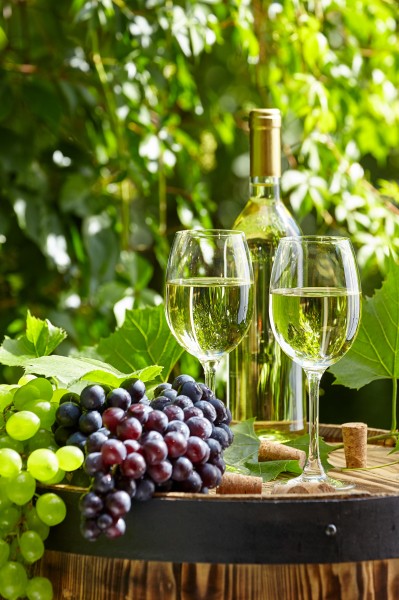 葡萄酒和庄园景色图片(9张)