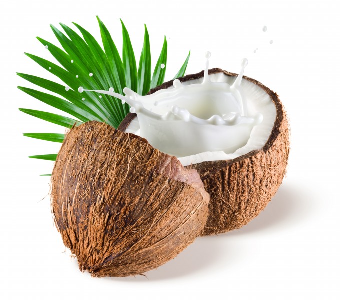 切开的椰子图片(20张)