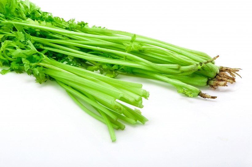 绿色的芹菜图片(21张)