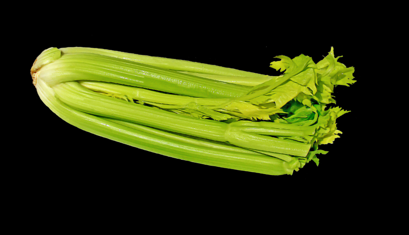 绿色的芹菜图片(21张)