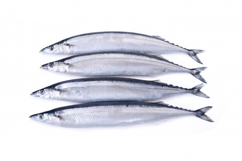 银色日式秋刀鱼图片(10张)