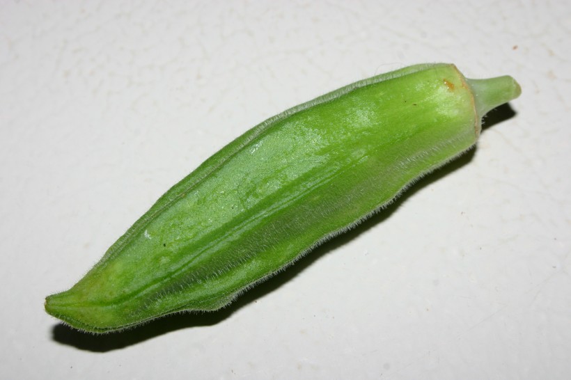 绿色营养的秋葵图片(13张)