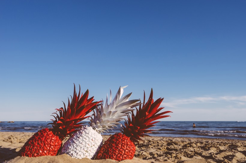 沙滩上的菠萝图片(10张)
