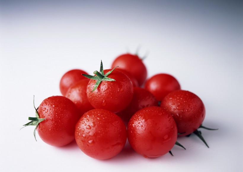 鲜美西红柿图片(16张)