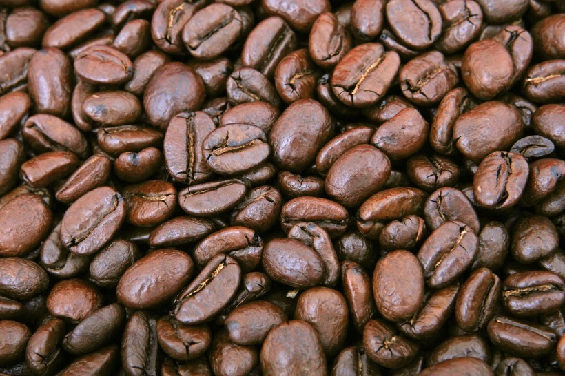 数量庞大的咖啡豆图片(15张)
