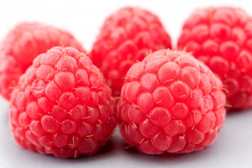 酸酸甜甜的树莓图片(9张)