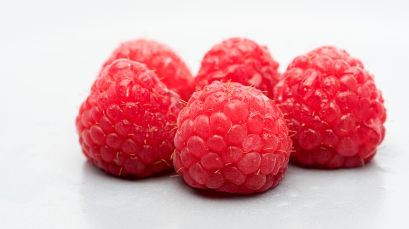 营养好吃的红色树莓图片(14张)