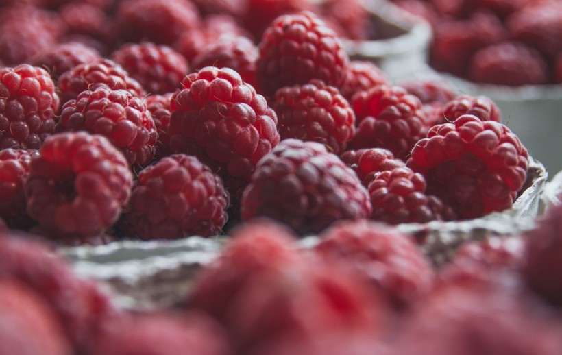 酸甜可口的树莓图片(10张)