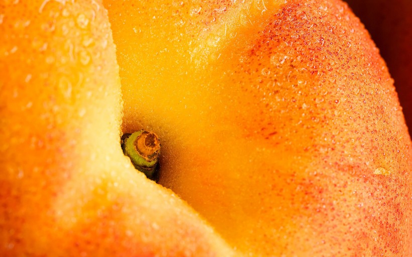 鲜美的桃子图片(14张)