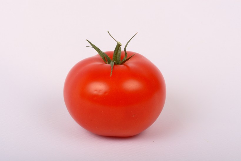 未成熟的西红柿图片(7张)