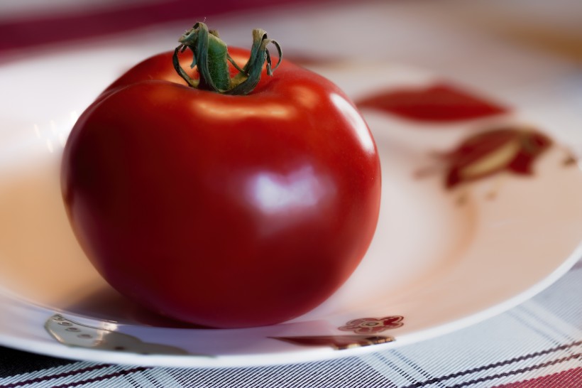 鲜红的番茄图片(12张)