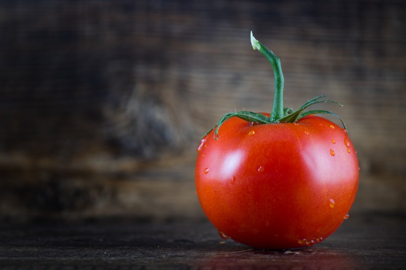 新鲜的西红柿图片(16张)