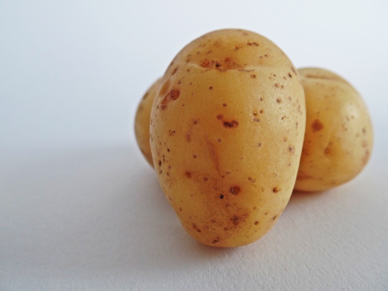 土豆图片(7张)