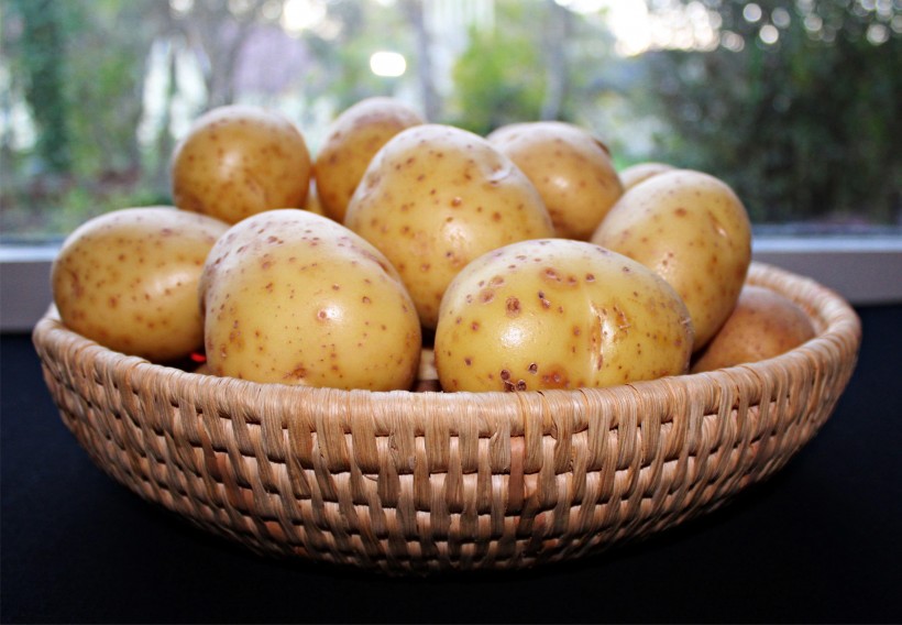 新鲜的土豆高清图片(12张)