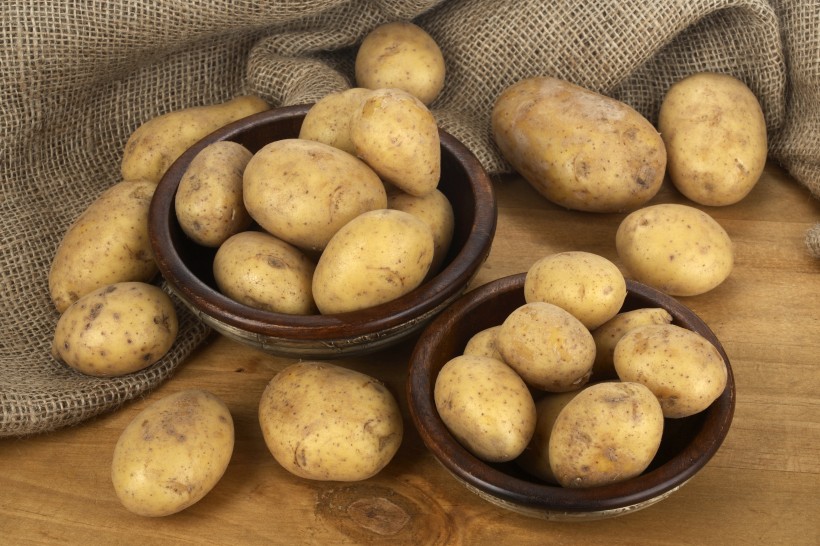 成堆的土豆图片(15张)
